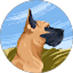 Profile photo of shannon kaelin