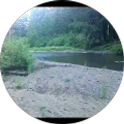 Profile photo of Dolan Gish