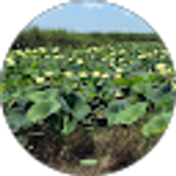 Profile photo of Amanda Roberts