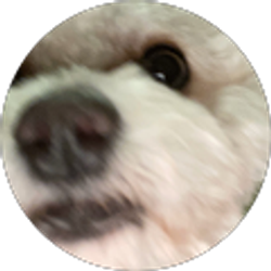 Profile photo of Bryan S