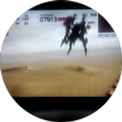 Profile photo of Shawn Lemonius