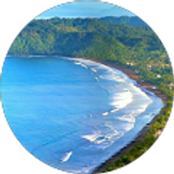 Profile photo of The Time Is Now