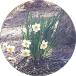 Profile photo of Mgirla