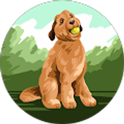 Profile photo of ryan cox