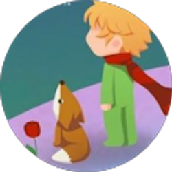 Profile photo of Niko Stefano