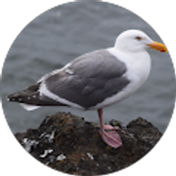 Profile photo of dceiplis
