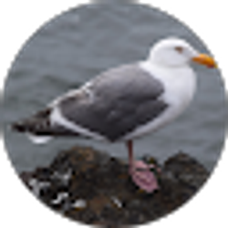 Profile photo of dceiplis