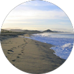 Profile photo of David Reynoldson