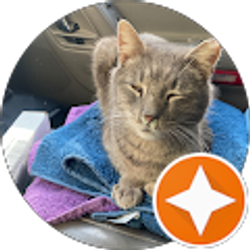 Profile photo of Sean Lynch