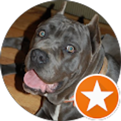 Profile photo of Merit Arcand