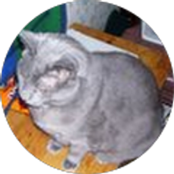 Profile photo of Kacey Marsh