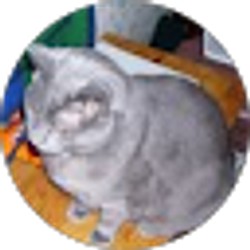 Profile photo of Kacey Marsh