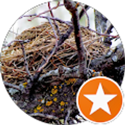 Profile photo of Daren Peel