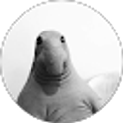 Profile photo of Jack Colitre