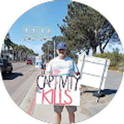 Profile photo of David Engel