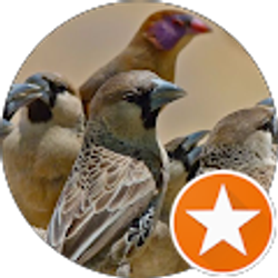 Profile photo of Eileen Green