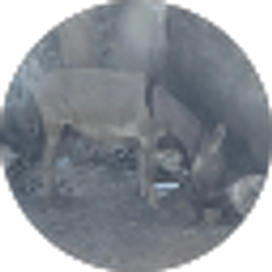 Profile photo of Leticia Byice