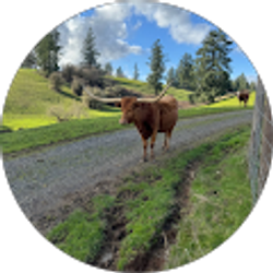 Profile photo of Ismael Piñon