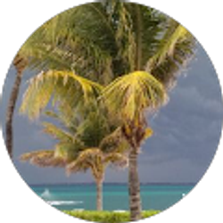 Profile photo of Laura Meli