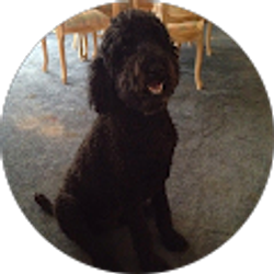 Profile photo of Jamee Fox