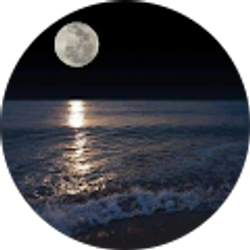 Profile photo of Mario René Villatoro