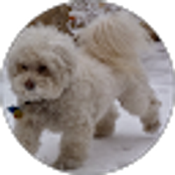 Profile photo of Annette Roberge