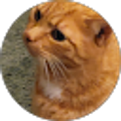 Profile photo of Jennifer Ryder