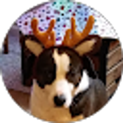 Profile photo of G Hasenfus