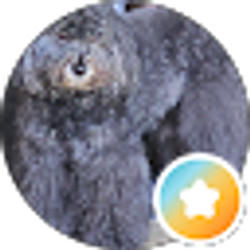 Profile photo of Danny Price