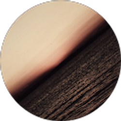 Profile photo of Hayley Wyles