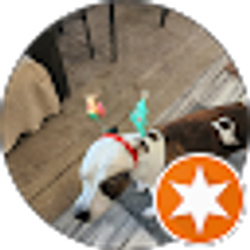 Profile photo of deborah Bueno