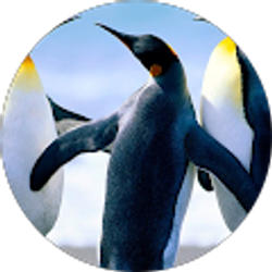 Profile photo of Julie Zhu