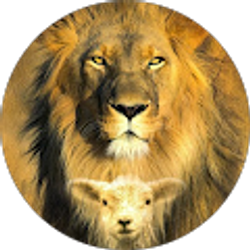 Profile photo of Roger Garcia