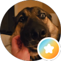 Profile photo of Meredith Walker