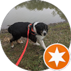 Profile photo of Carlene A