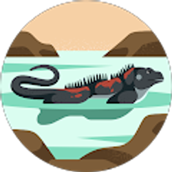 Profile photo of Jungbum Cho