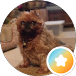 Profile photo of Brenda McCoy