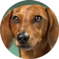 Profile photo of Marie Rose