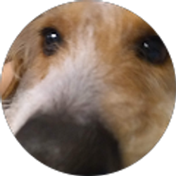 Profile photo of Joloos