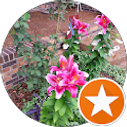 Profile photo of Tamara Lusk