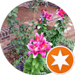 Profile photo of Tamara Lusk