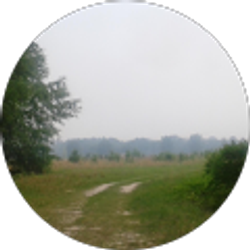Profile photo of C M