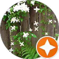 Profile photo of Gracie Brannock