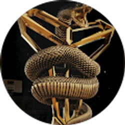 Profile photo of Patrick Gonzalez