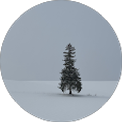 Profile photo of Mansu Kim