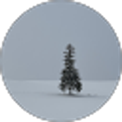 Profile photo of Mansu Kim
