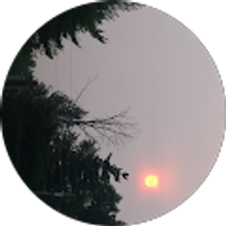 Profile photo of Brian Potts