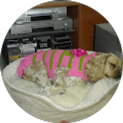 Profile photo of Gretchen Ziegler