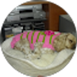 Profile photo of Gretchen Ziegler