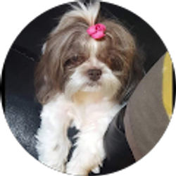 Profile photo of Anita Alcorn